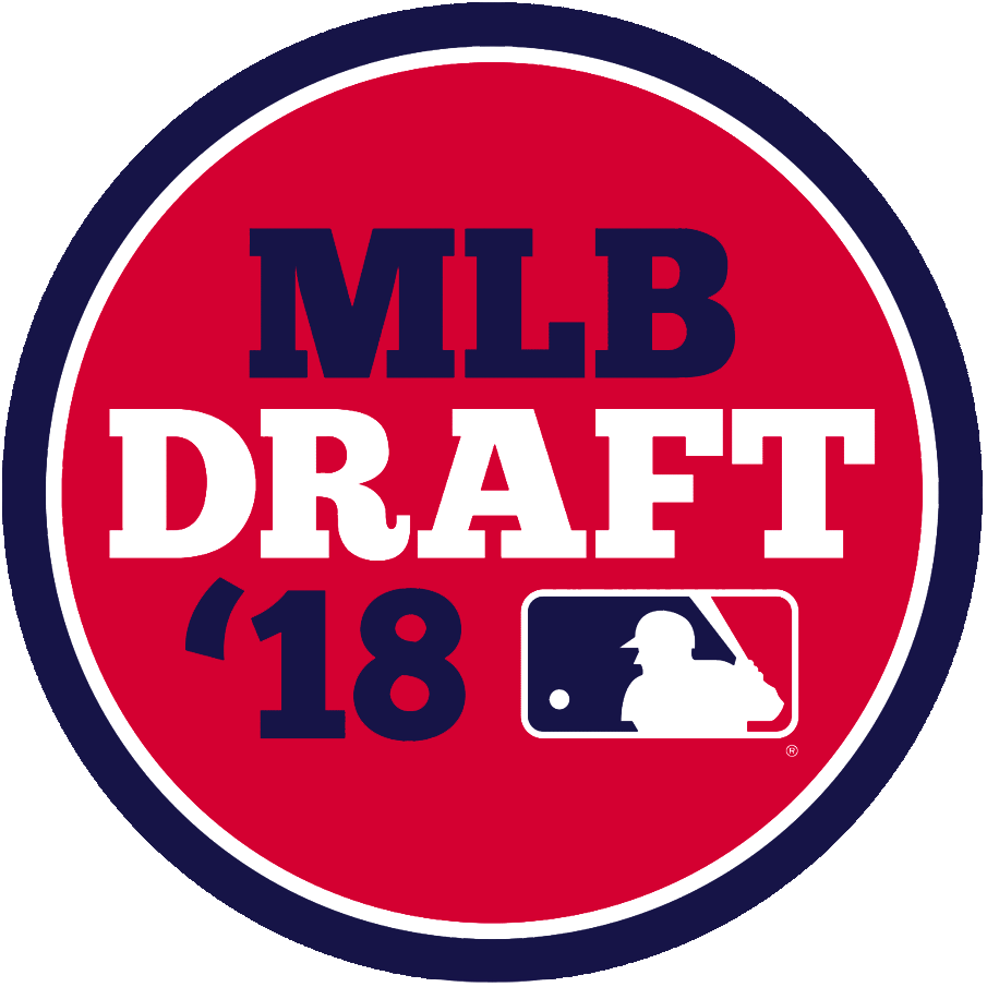 MLB Draft 2018 Primary Logo t shirts iron on transfers